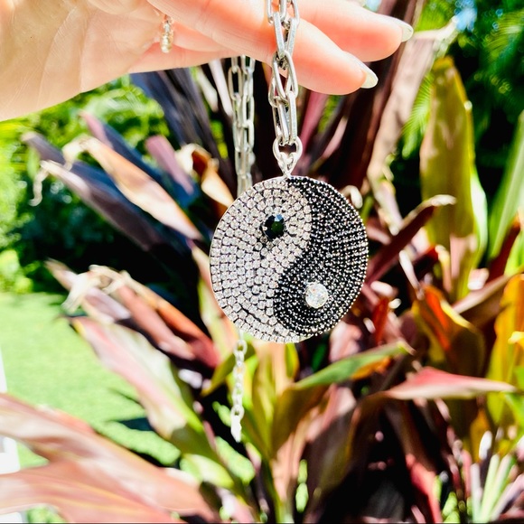 DANNIJO Martina Choker Necklace in Silver NWT - Picture 9 of 12